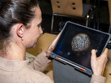 Eine Frau macht ein Foto mit einem Tablet.