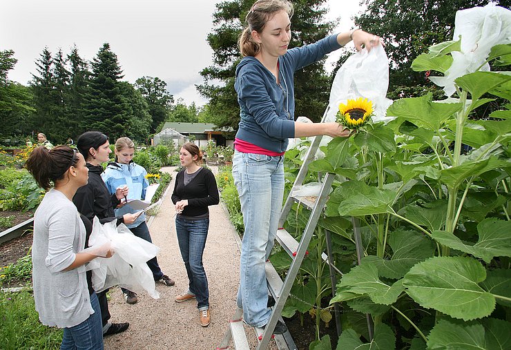 Im Ökologischen Lerngarten der Pädagogischen Hochschule Karlsruhe. Foto: Thomas Schindel/Pädagogische Hochschule Karlsruhe