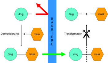 Schematische Darstellung des Prodrug-Konzepts.