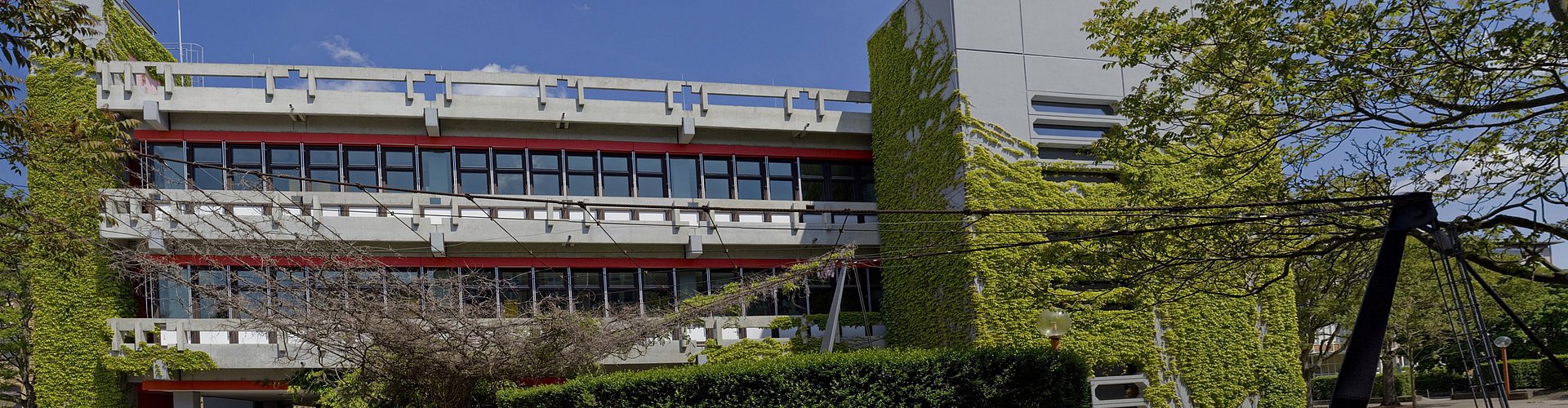 Gebäude 2 von Seitenausgang Gebäude 1 fotografiert. Hecke und Blätterdach vor dem Gebäude. ©PH Karlsruhe