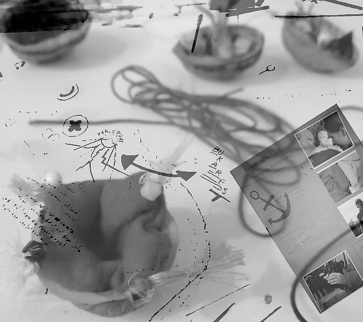 PLAY YOUR HOME: Fotos, Texte, Zeichnungen und Schmuckobjekte - die Ergebnisse des interkulturellen Projekts „Heimatgeschichten“ sind ab 18. Januar im Projektraum COLA TAXI OKAY zu sehen. Collage: Marie Schönheiter
