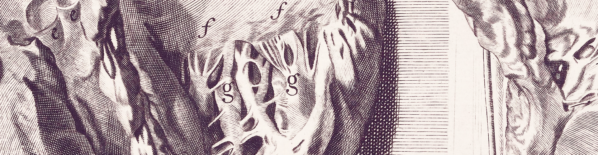 Anatomia corporum humanorum centum et quatuor-decim tabulis ... ab excellentissimis, qui in Europa sunt, artificibus expressis ad vivum ... illustrata. Amplius explicata, multisque novis anatomicis inventis, chirurgicisque observationibus aucta a W.C / Accedunt eiusdem introductio in oeconomiam animalium ... Omnia nunc primum Latinitate donata. Curante G. Dundas, Brittanno [sic]. Wellcome Collection. Source: Wellcome Collection.