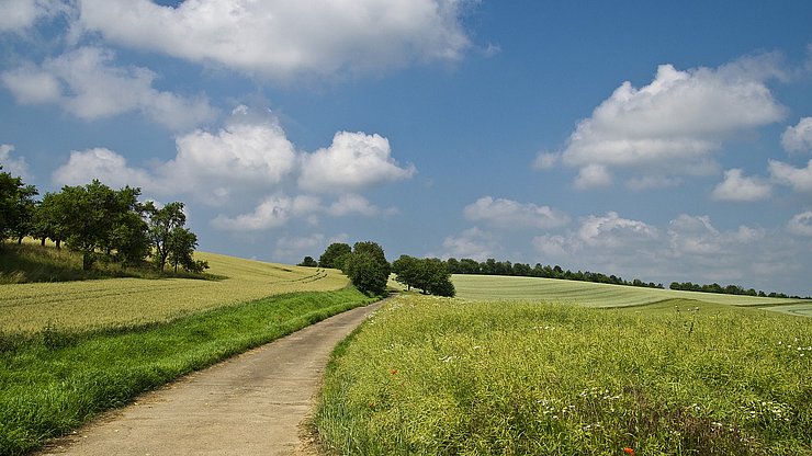 Landschaftsaufnahme. Quelle: pixabay