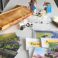 Im Nachhaltigkeitslabor der PHKA. Foto: Nala