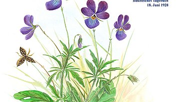 Plakat zu Wilhelm Lehmanns Bukolischem Tagebuch, Copyright Umweltbildungsverein Eckernförde