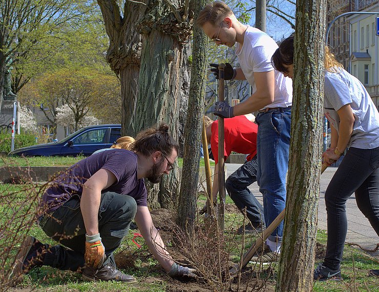 Biodiversität betrifft jeden: Pflanzaktion vor der Pädagogischen Hochschule Karlsruhe. Foto: Jonas Barth